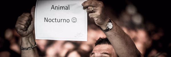 InfinityRaywboy's profile banner image