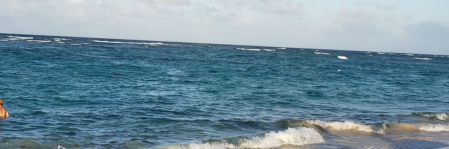 ShelaghNStuart's profile banner image