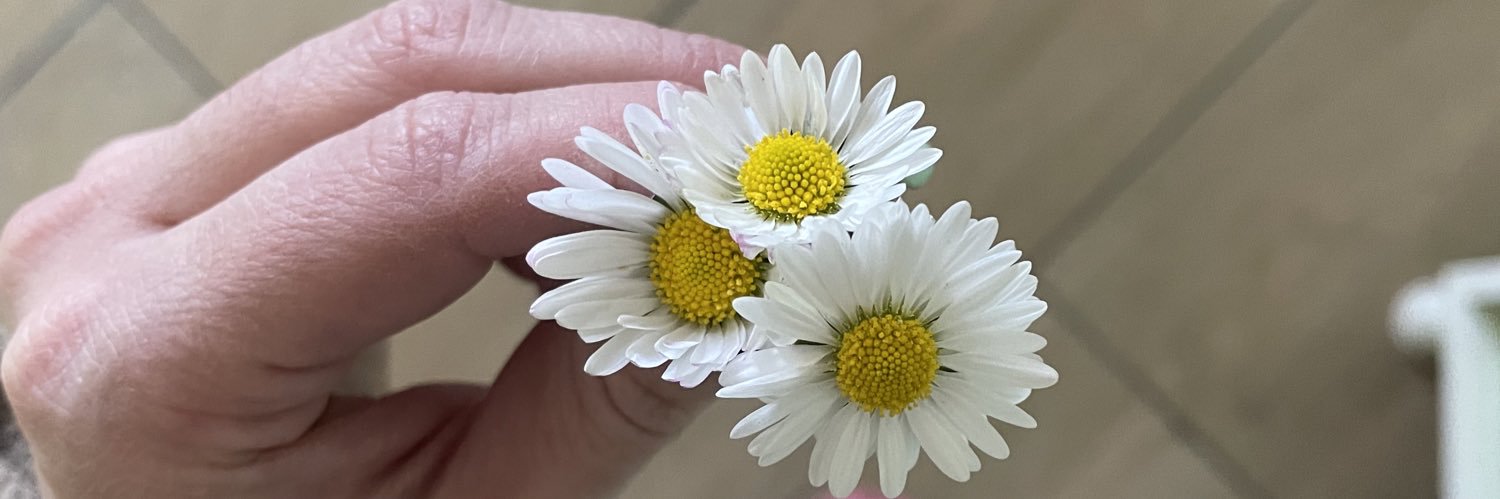 SaraLuce99's profile banner image