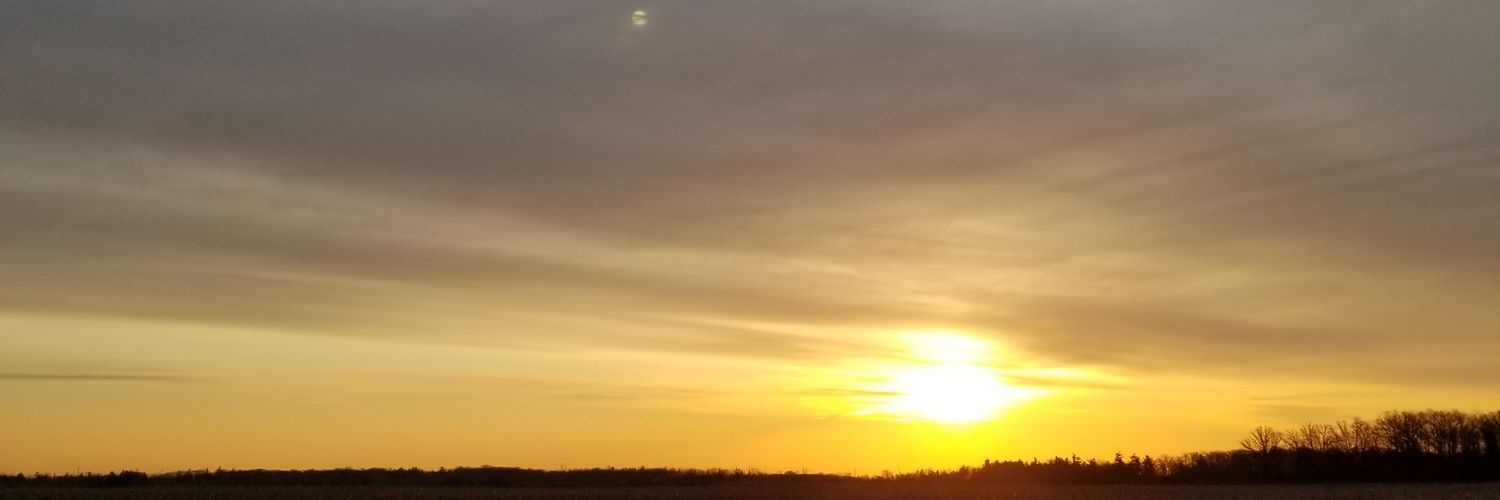 beldiesaunt's profile banner image