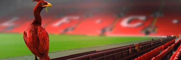 Gye78 Profile Banner