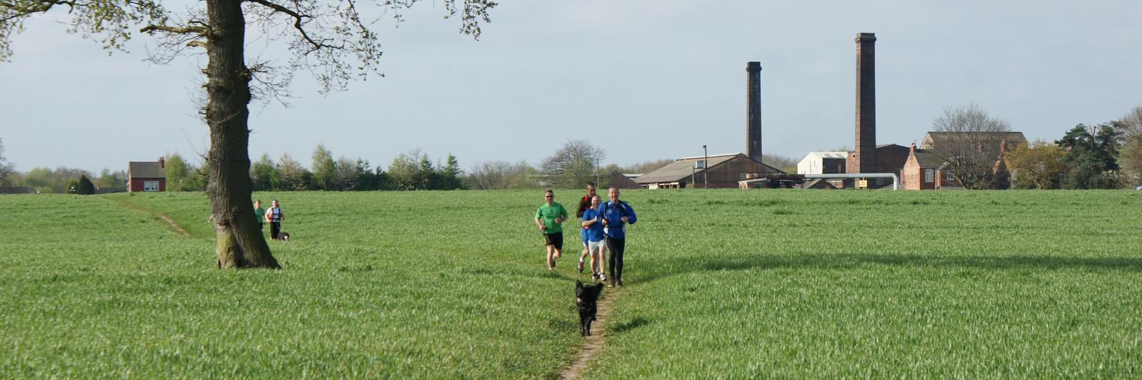 Warrington Way Race banner