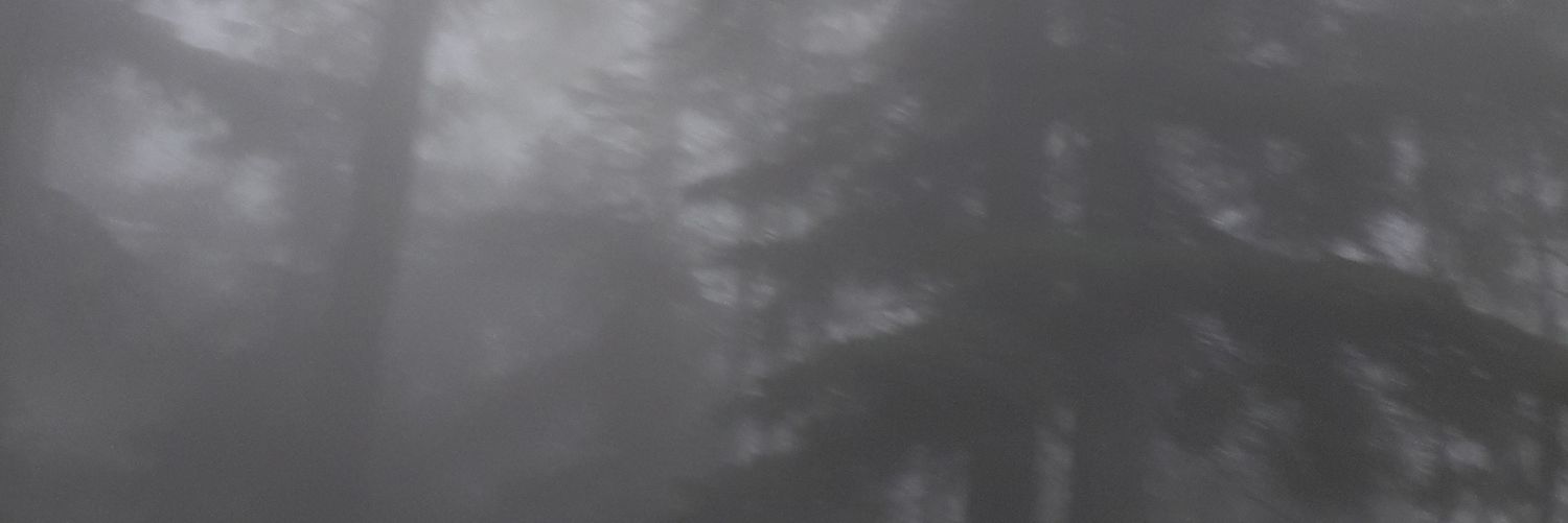 mago_levius's profile banner image