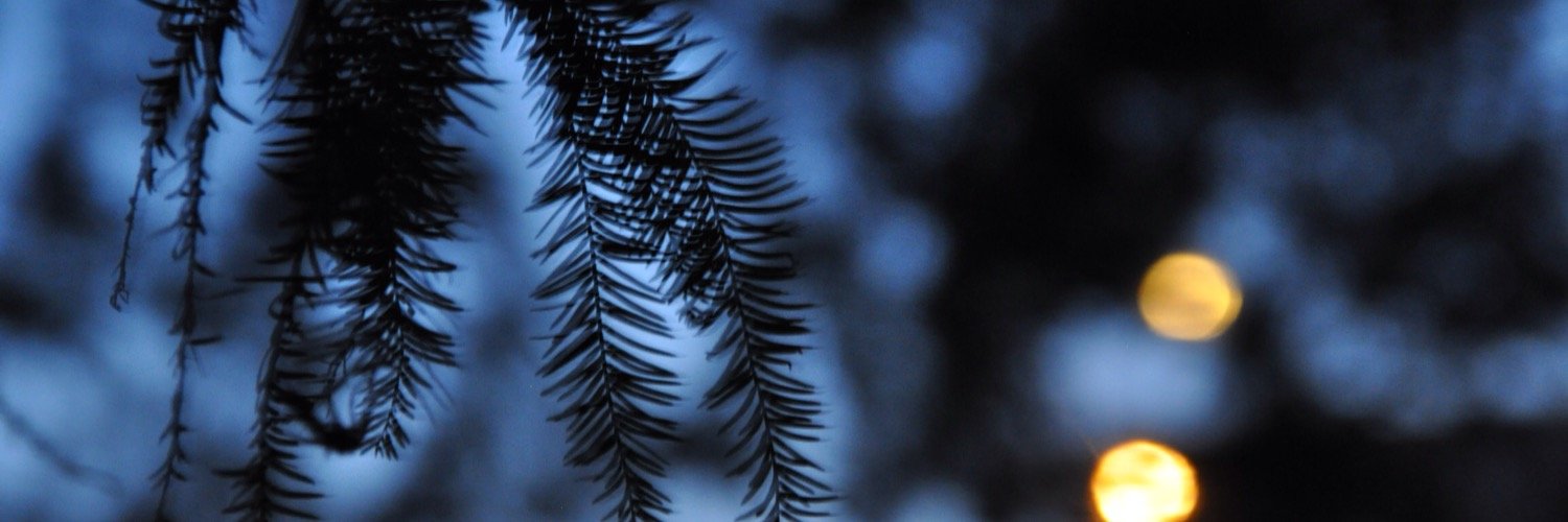 LisaStern3's profile banner image