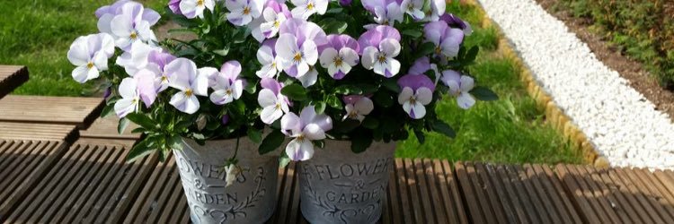 JackieAnnHam's profile banner image
