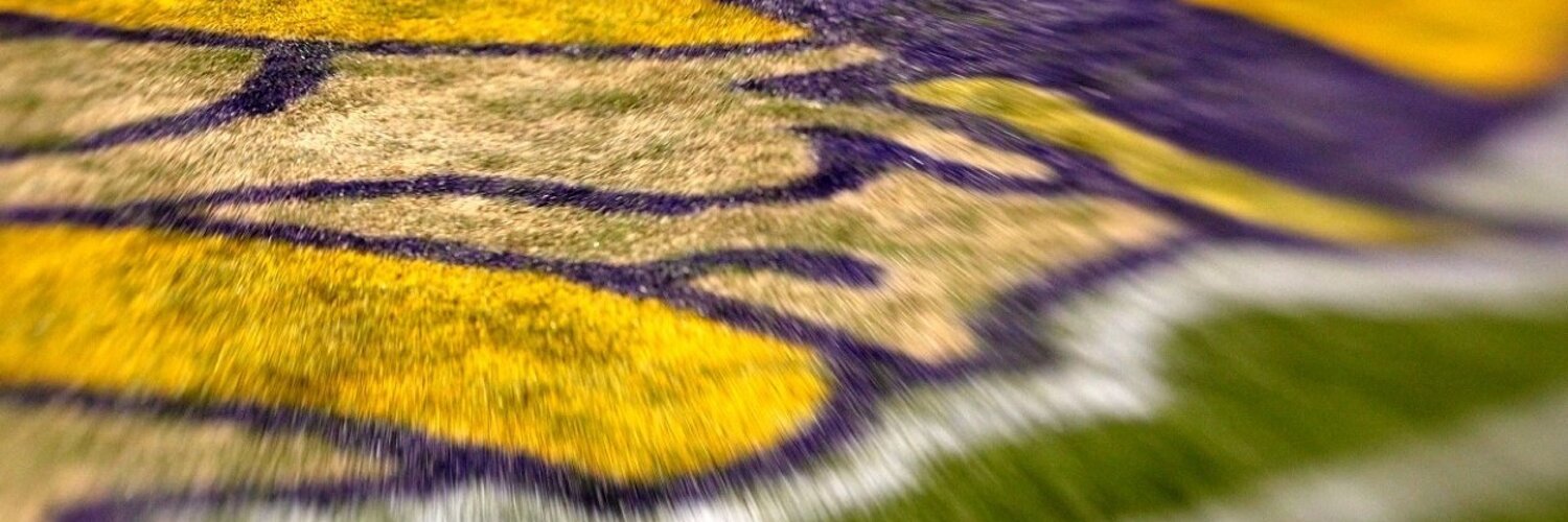 Vikings Promos's banner
