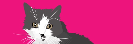 PetSandy's profile banner image
