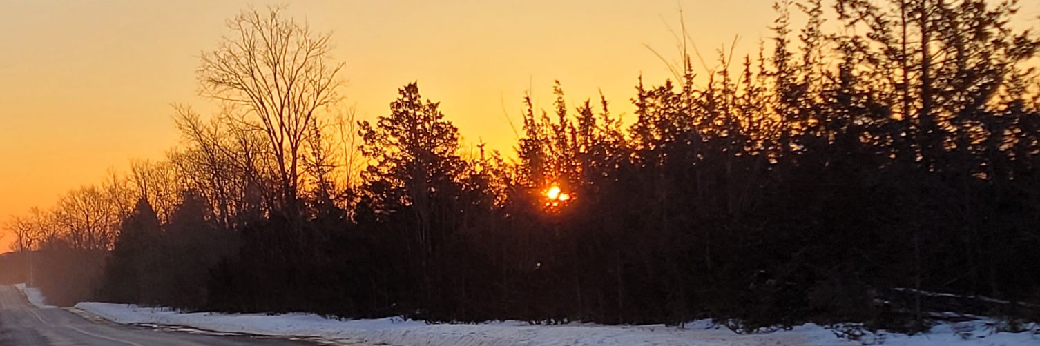 Maurene01's profile banner image