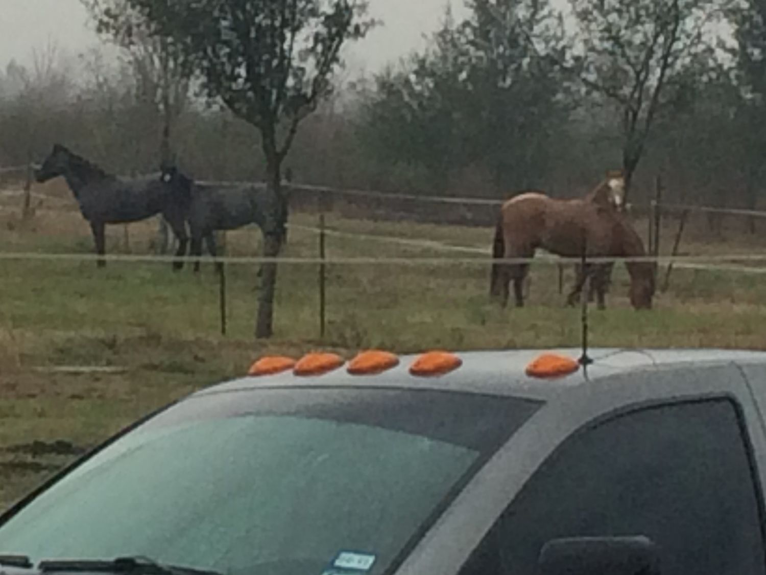 TxCowgrl's profile banner image