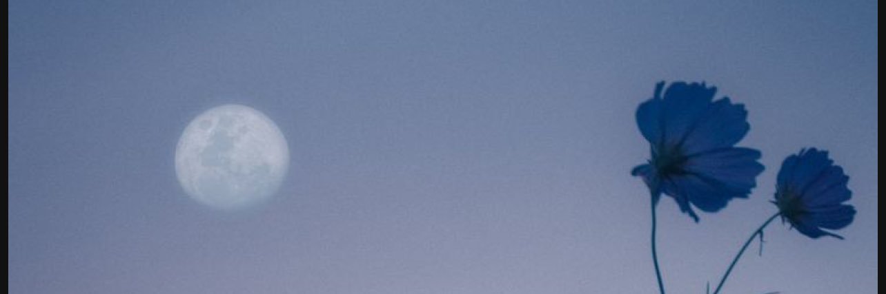 Letty Sanchez banner