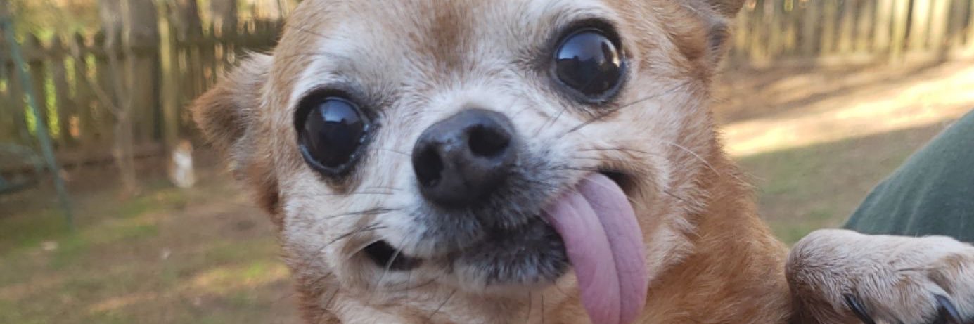 drewelliott54's profile banner image