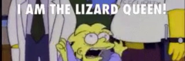 shay van buren banner