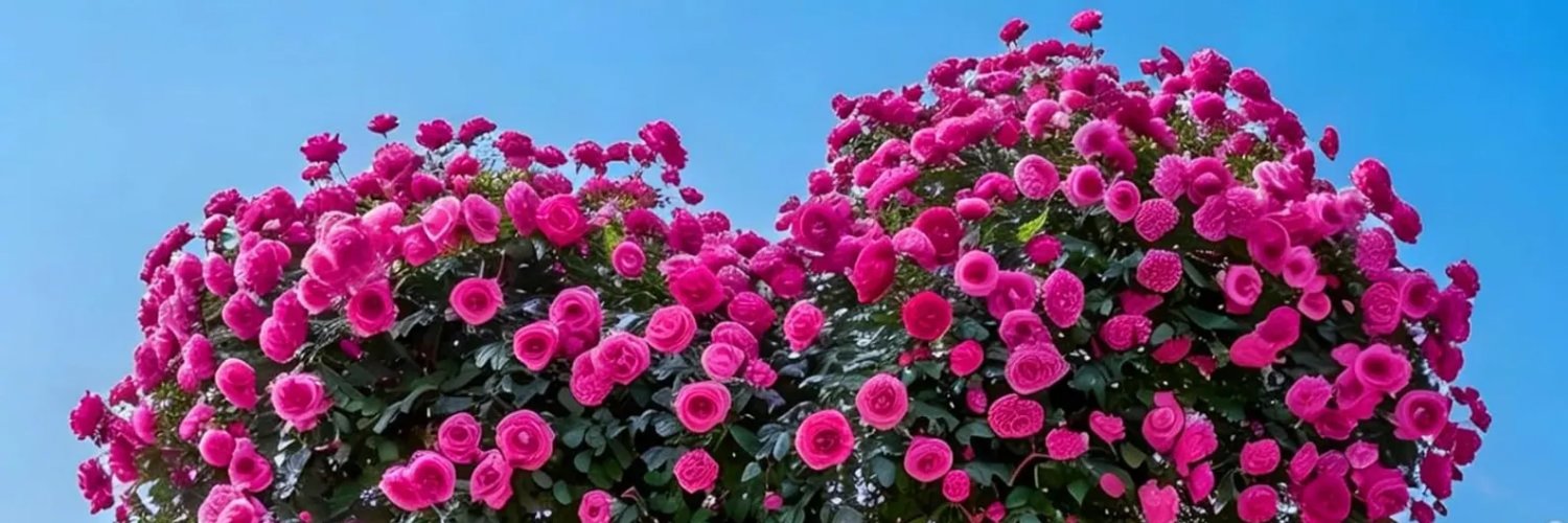 CarlJStrikwerda's profile banner image