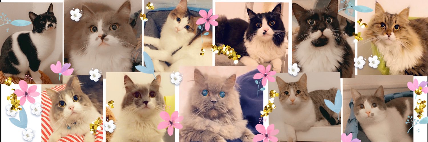 F0yz's profile banner image