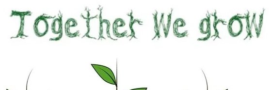 st_madoes's profile banner image