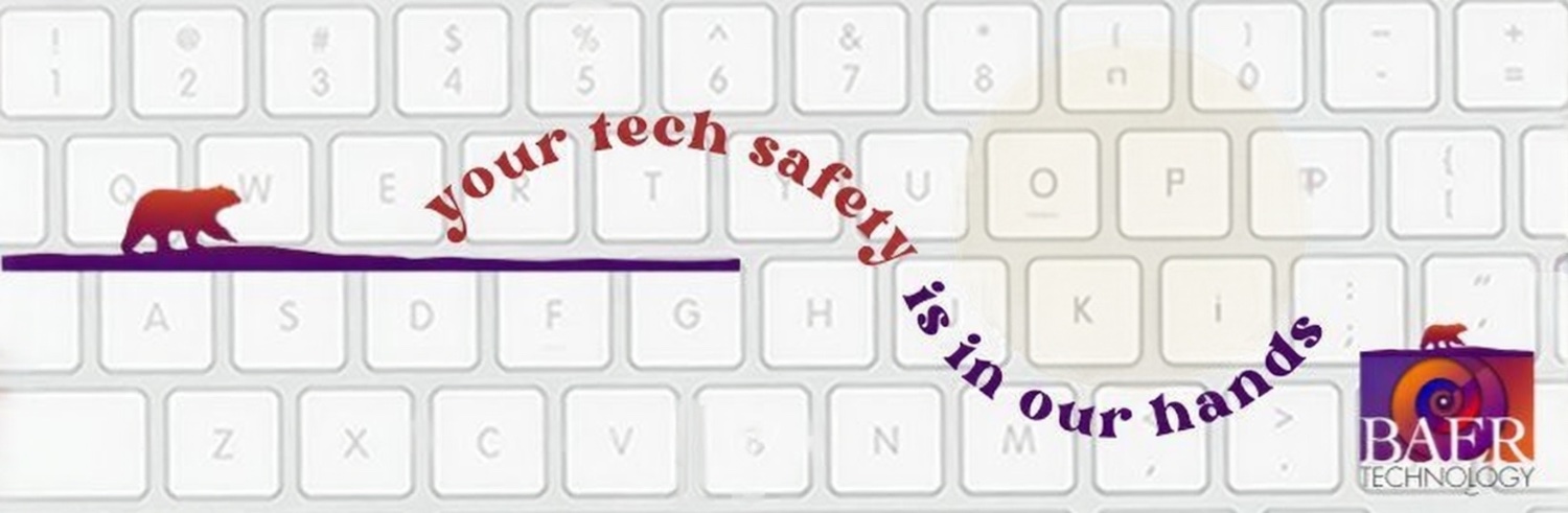 baertechnology's profile banner image
