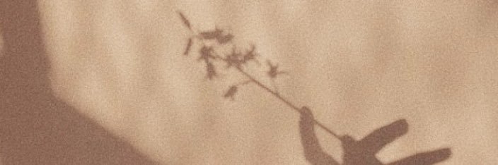 sspetunia's profile banner image