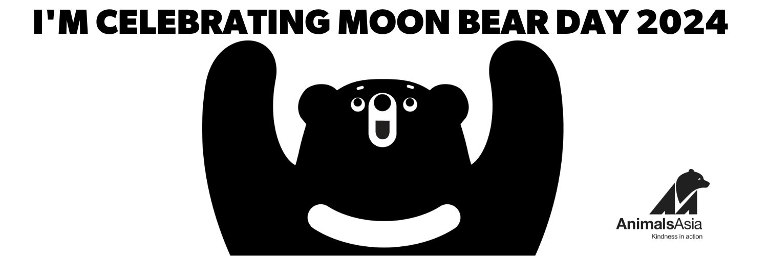 bromleyca's profile banner image