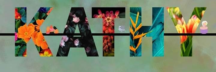 kathyjc13's profile banner image