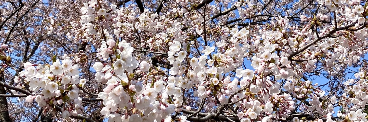 masumin0818's profile banner image