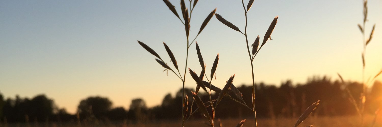 Mathilda Björk banner