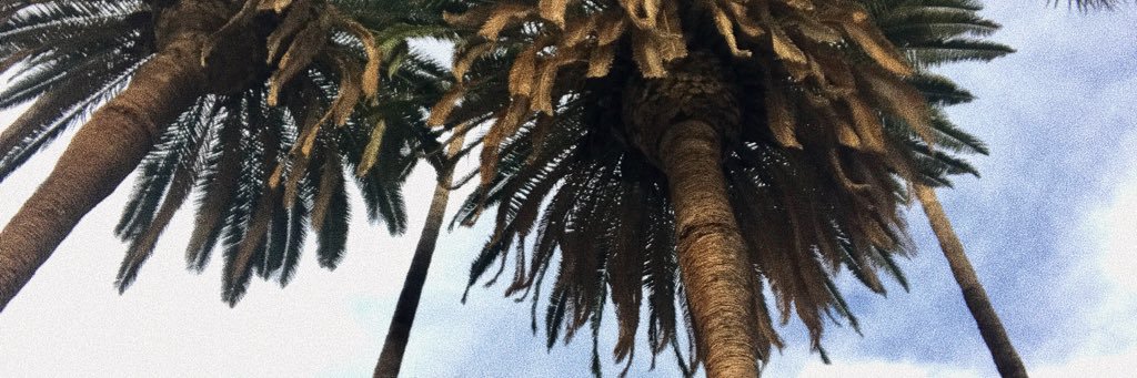 scarigab's profile banner image