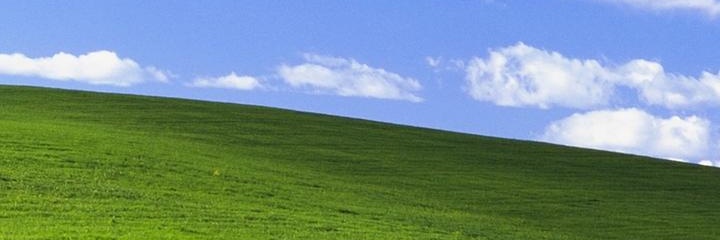 gooselup's profile banner image