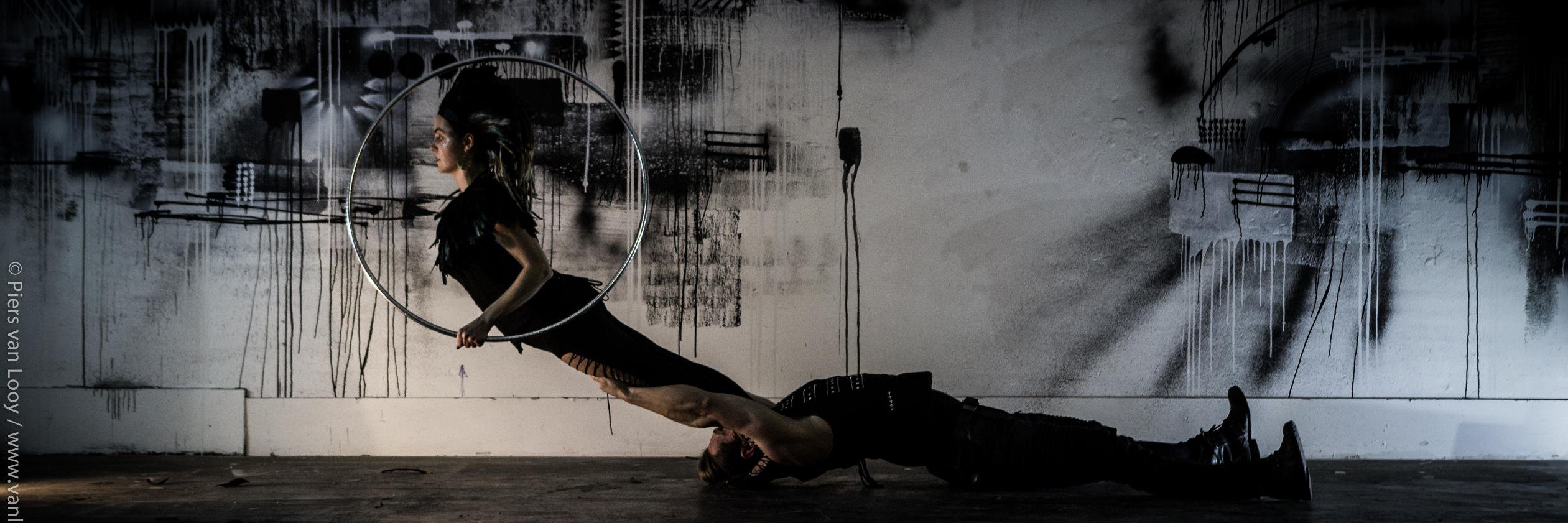 Sebastian Van Looy banner