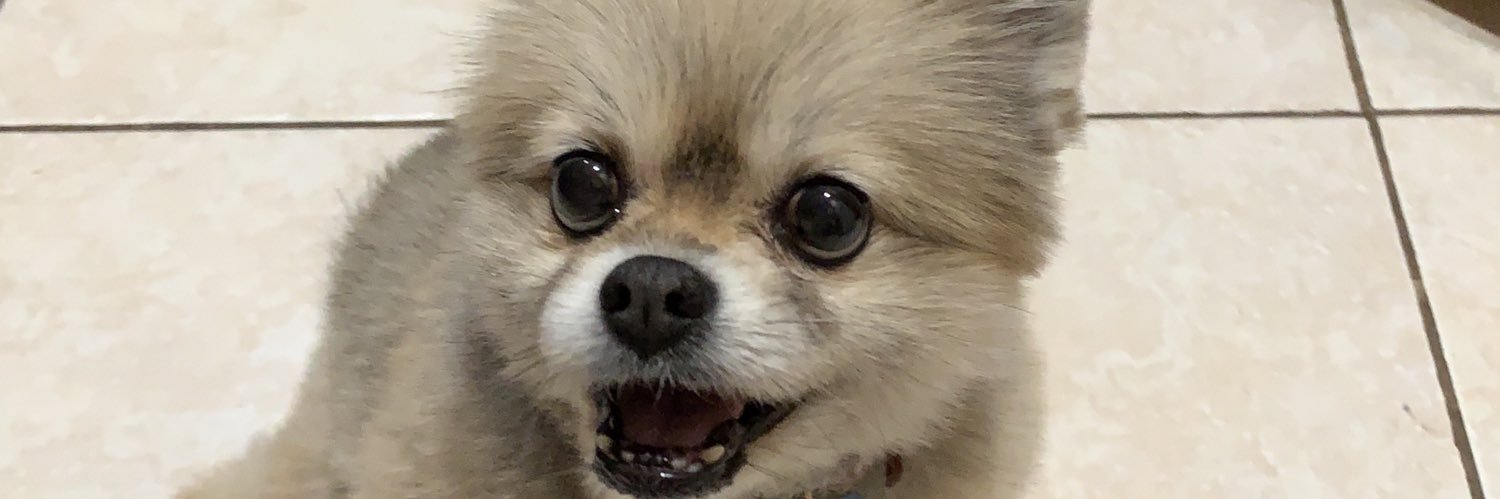 LyssShanny's profile banner image
