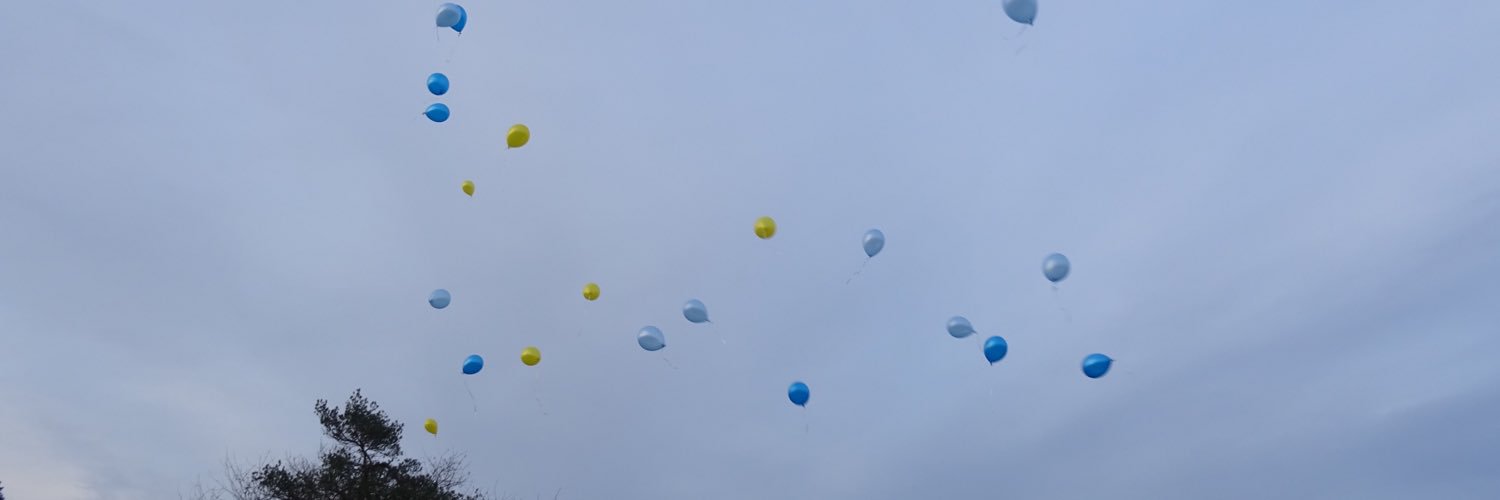 X_niz's profile banner image