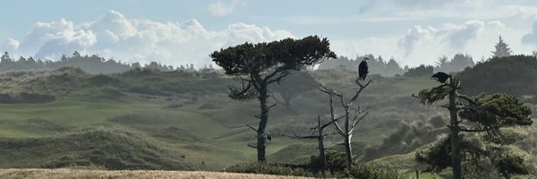 CaptainMounts15 Profile Banner