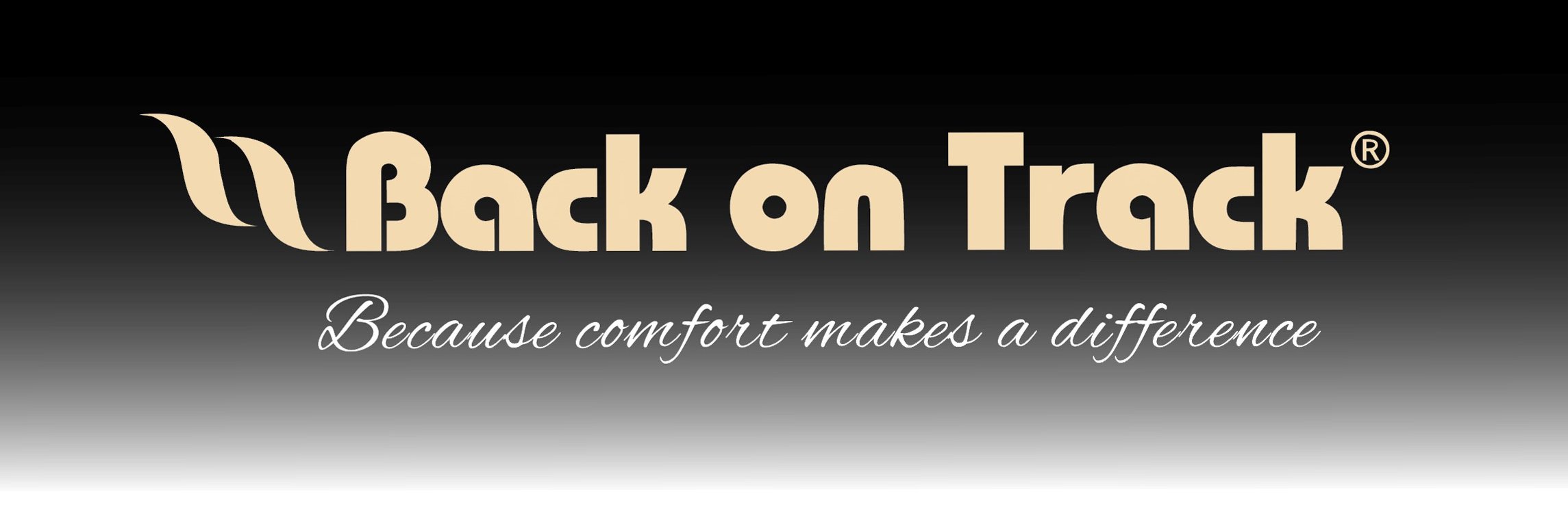 Back on Track USA banner
