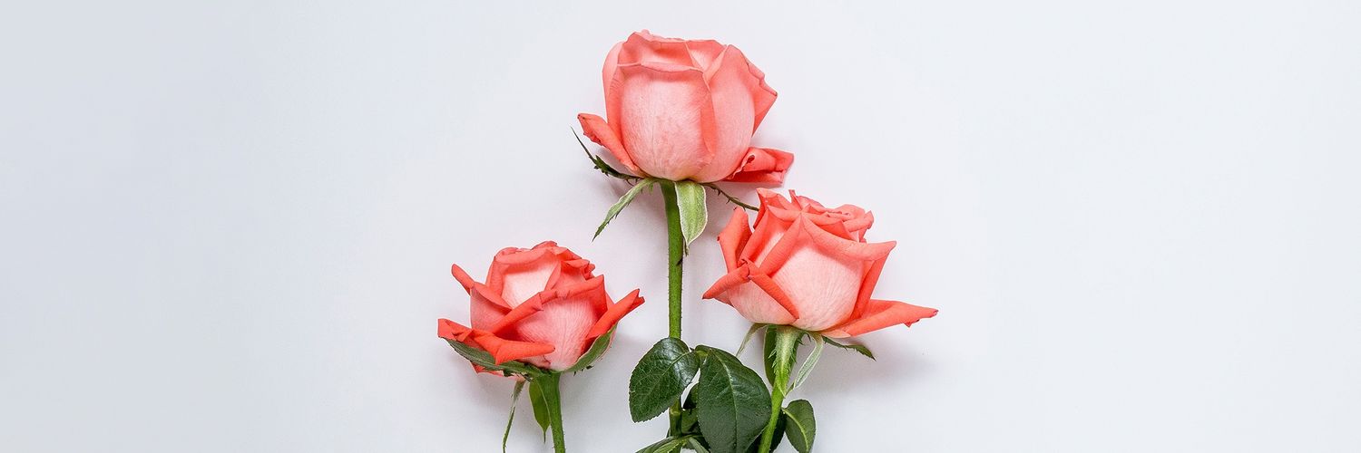 Lovinglydana's profile banner image