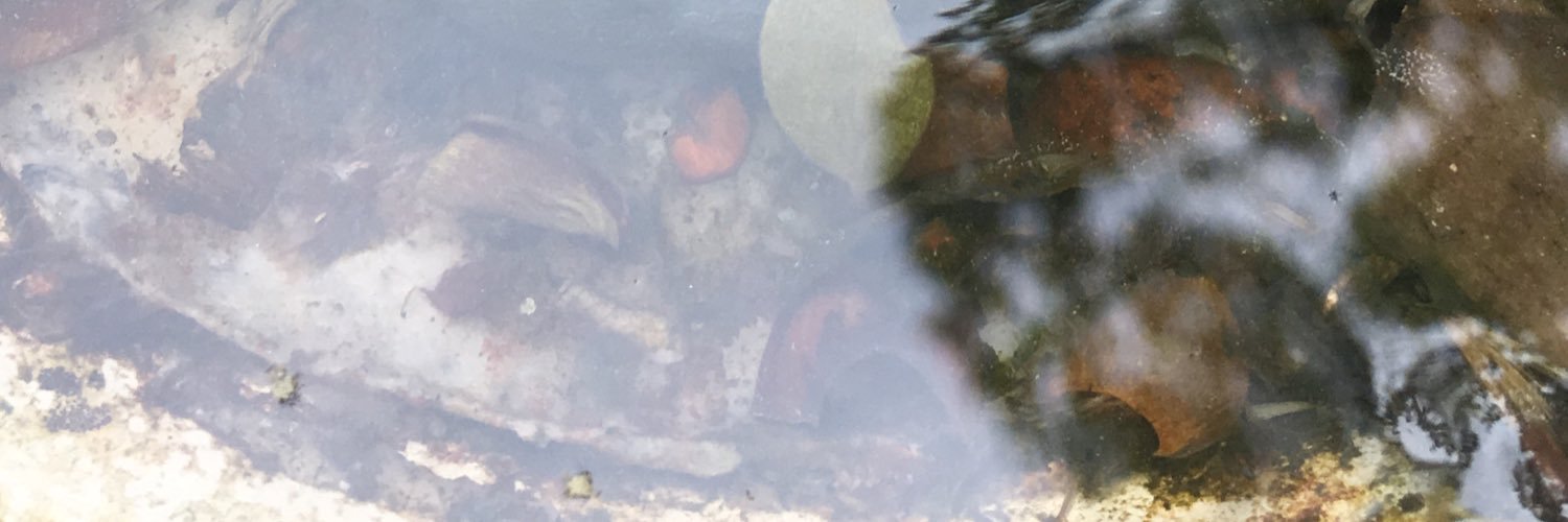 kndvl's profile banner image