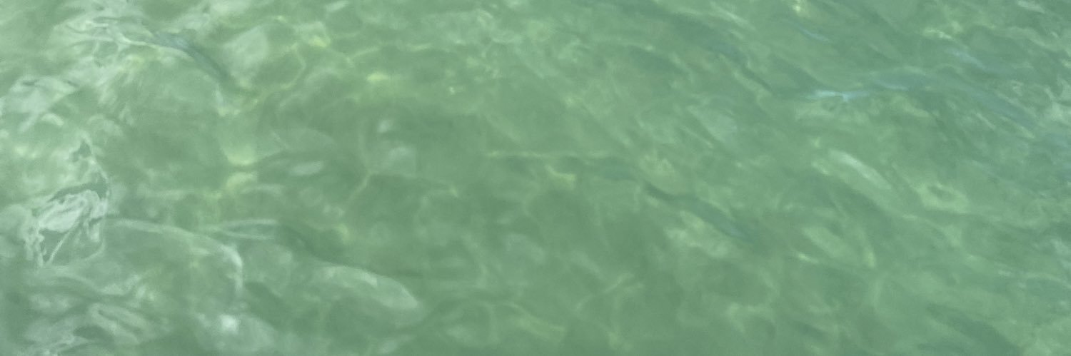 briittneeee's profile banner image