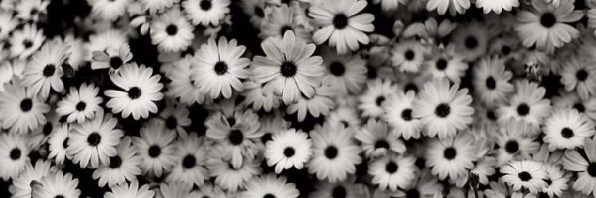 hamide92's profile banner image