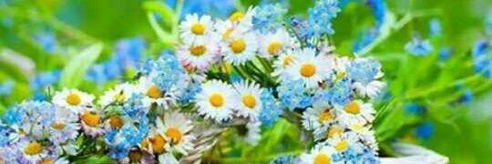 tugba_lg's profile banner image