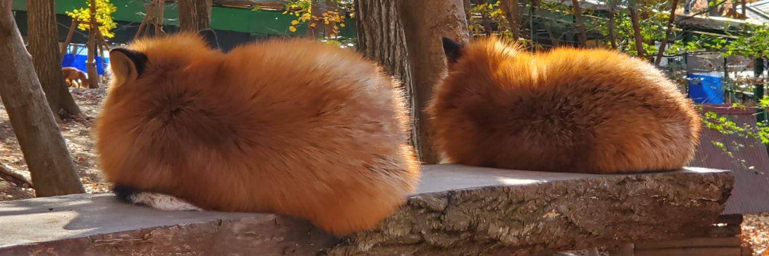 _JOE____'s profile banner image