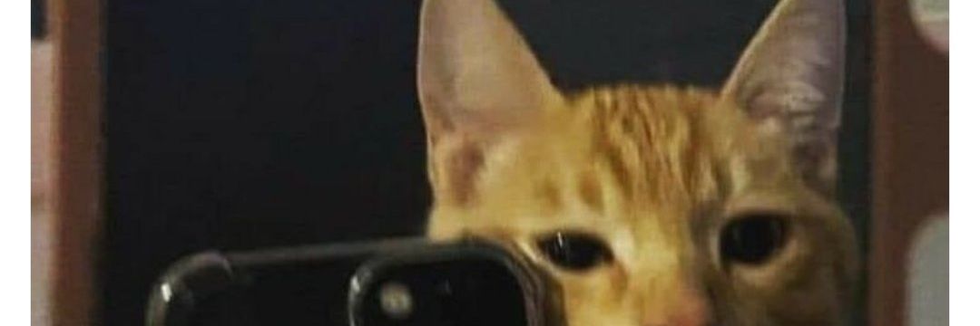 D0mngirl's profile banner image