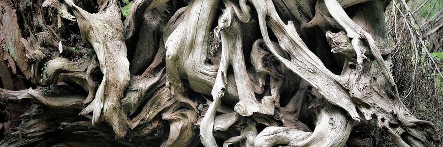 CaptainTabitha's profile banner image