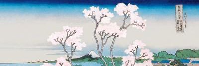 leti 🐲 banner