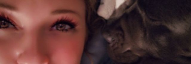 B2Fly2Die's profile banner image