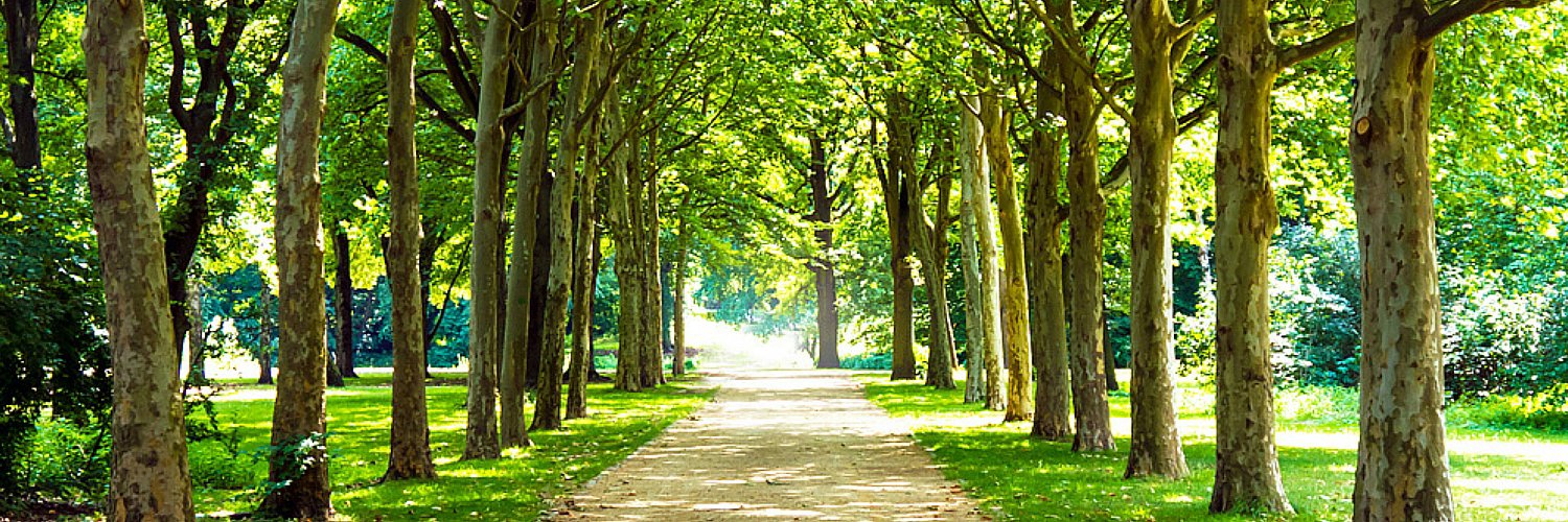 Watch_Your_6's profile banner image