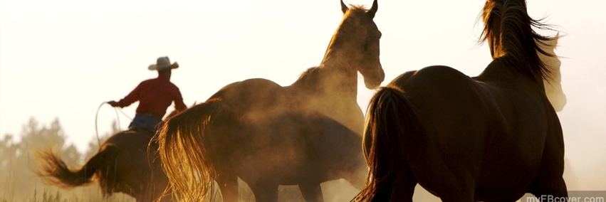 AlvaniBlanco's profile banner image