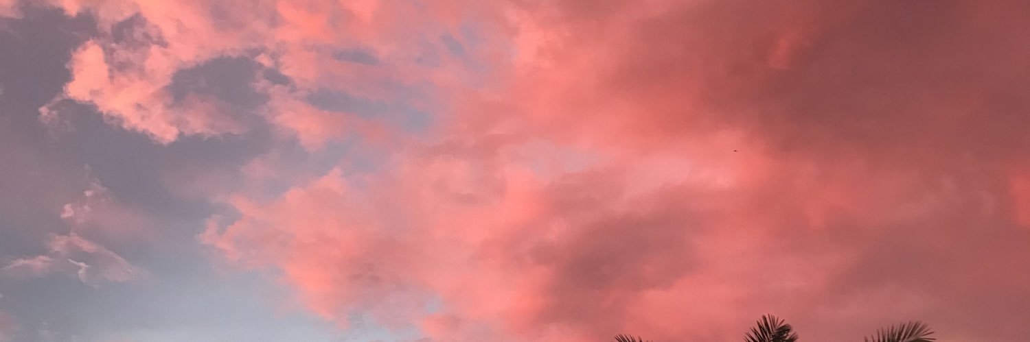 hallosisil's profile banner image