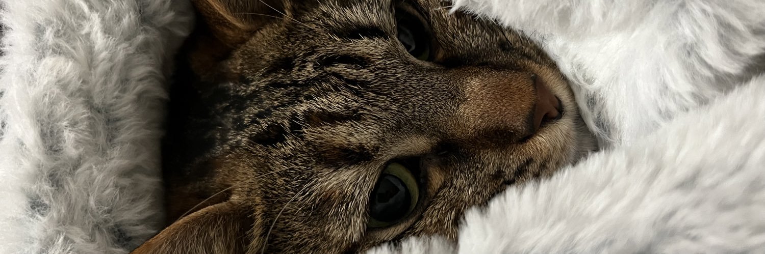 lifeasale_'s profile banner image