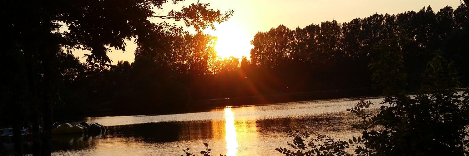 beeene_'s profile banner image