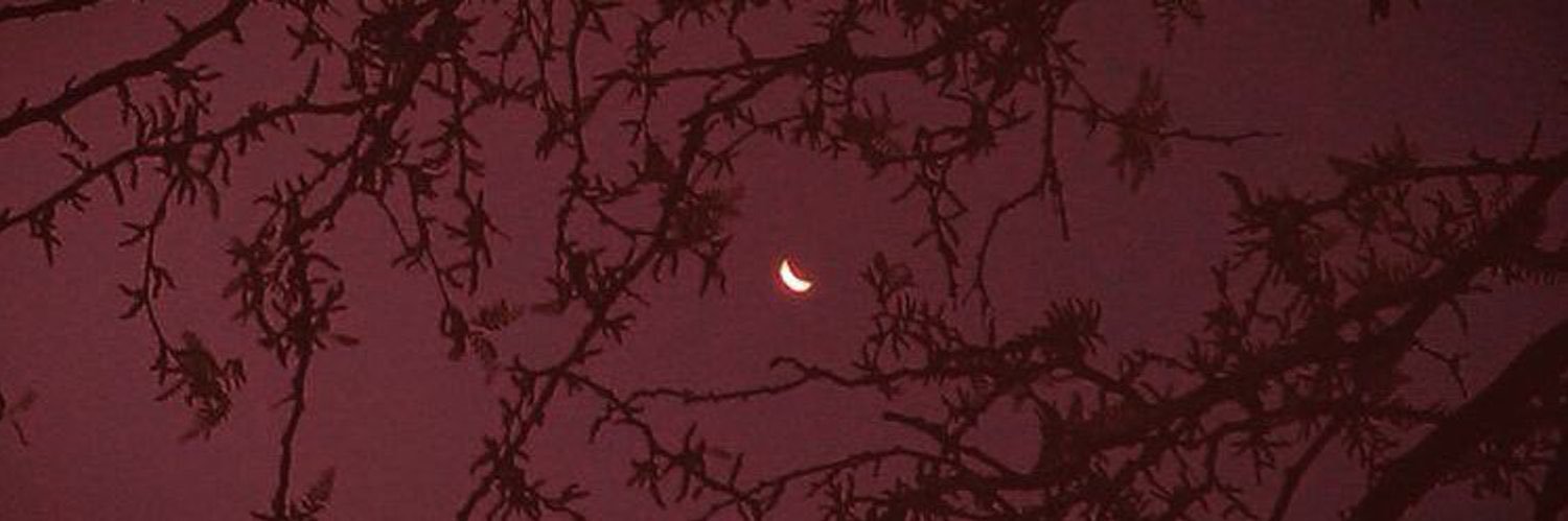 witchtingz's profile banner image