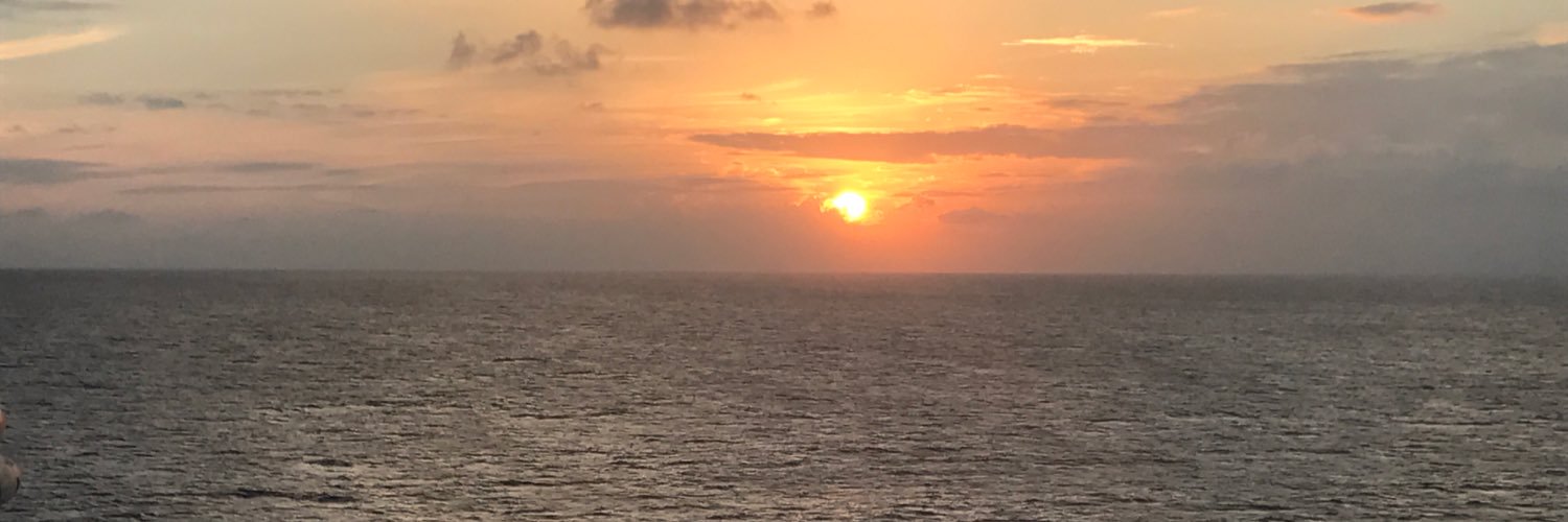 21_Dschall's profile banner image
