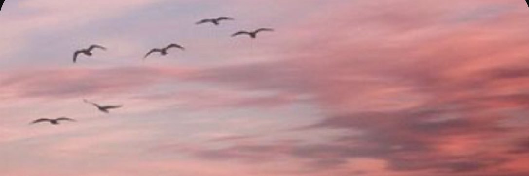 muniqat's profile banner image